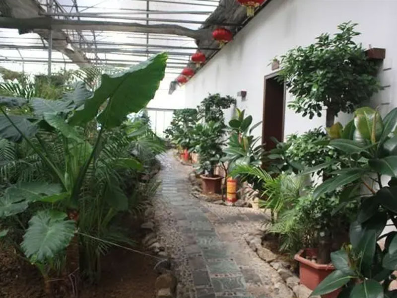 生态餐厅2