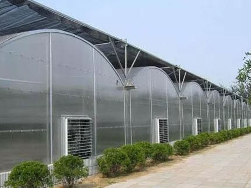 青州洪霖温室工程有限公司_日光温室