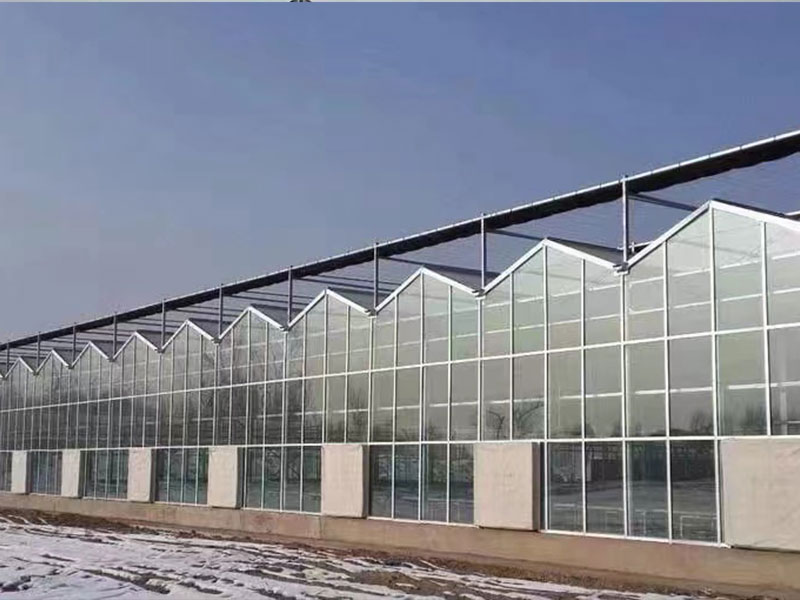 青州洪霖温室工程有限公司_玻璃温室