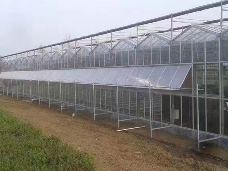 青州洪霖温室工程有限公司_河南16亩玻璃温室