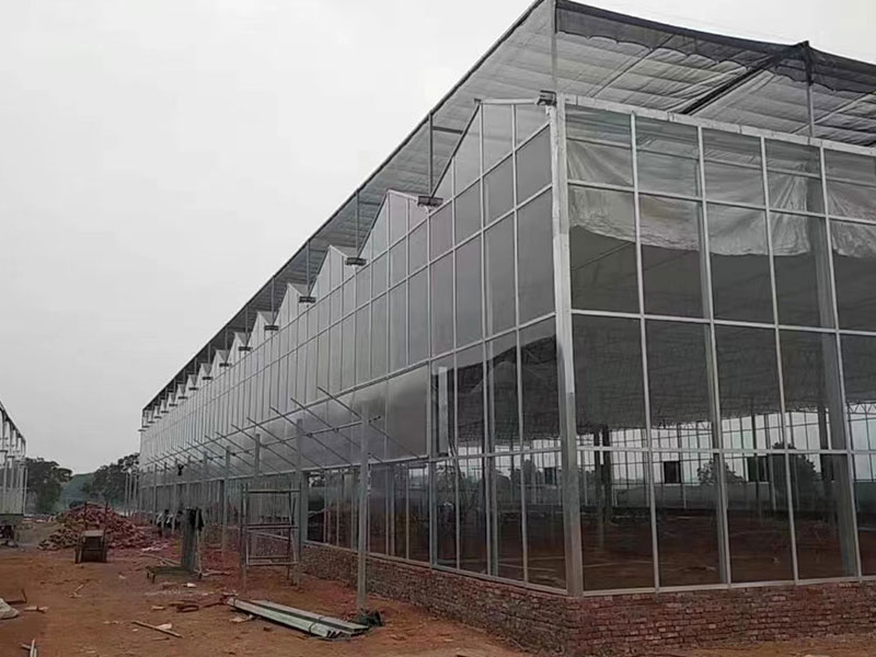 青州洪霖温室工程有限公司_玻璃温室