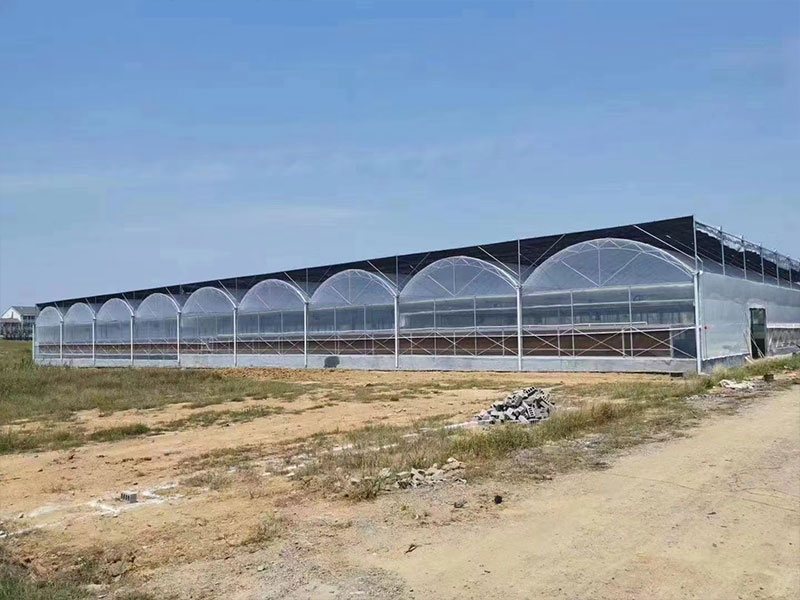 青州洪霖温室工程有限公司_怎么选择温室材料？