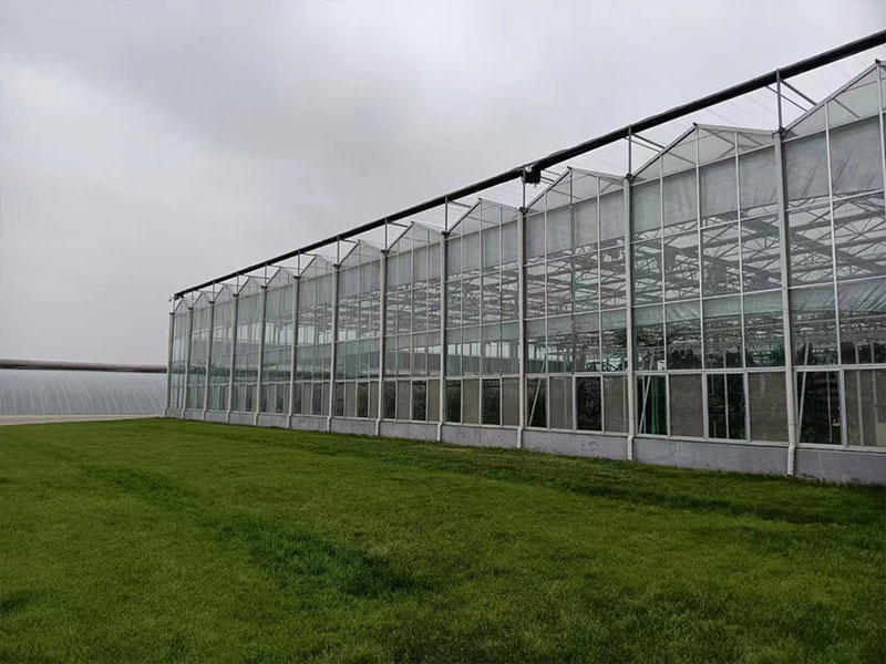 玻璃温室1