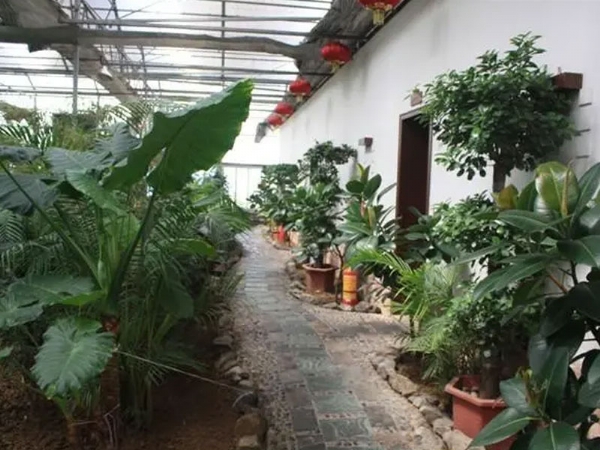 生态餐厅