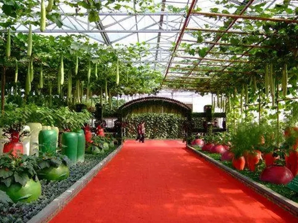 生态餐厅