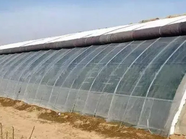 拱棚温室