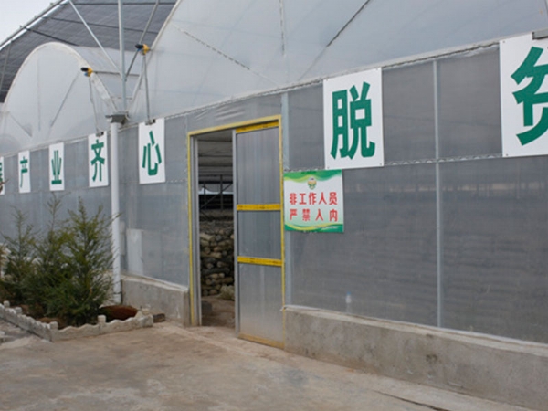 薄膜连栋温室
