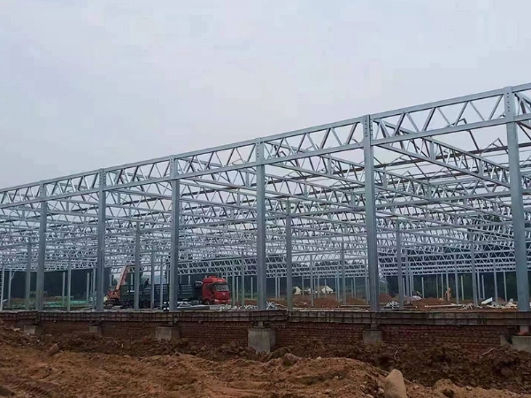 海南春秋棚200亩项目开工