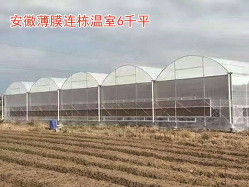 安徽薄膜连栋温室6千平
