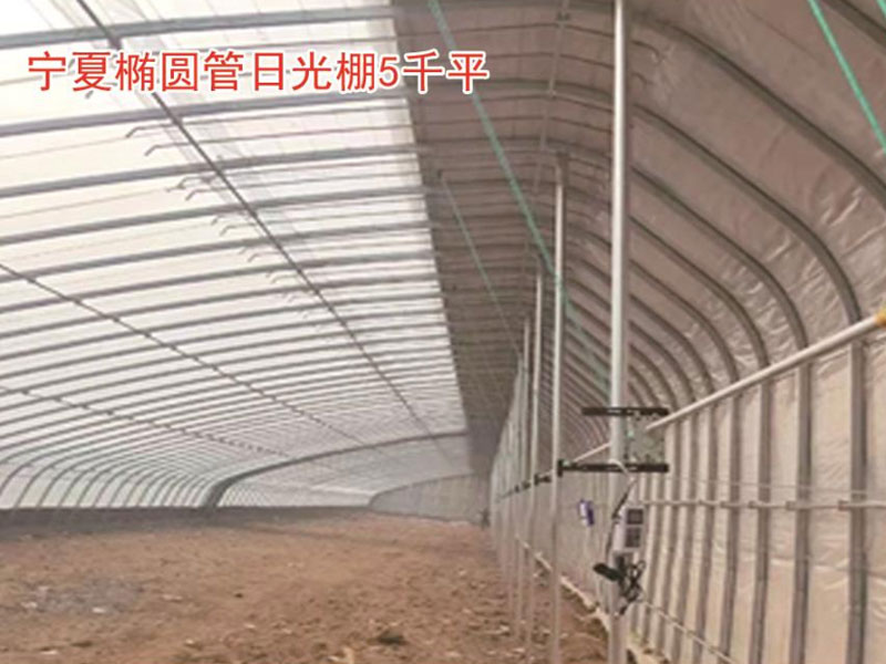 宁夏椭圆管日光棚5千平
