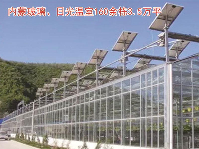 内蒙玻璃、日光温室160余栋3