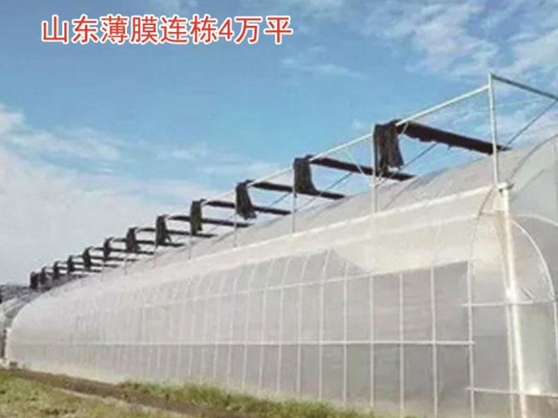 山东薄膜连栋4万平