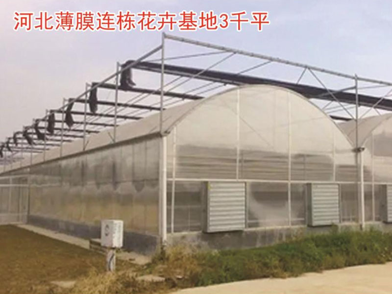 河北薄膜连栋花卉基地3千平