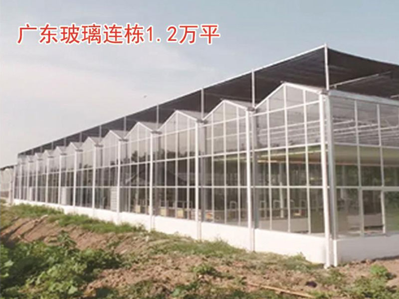 广东玻璃连栋1