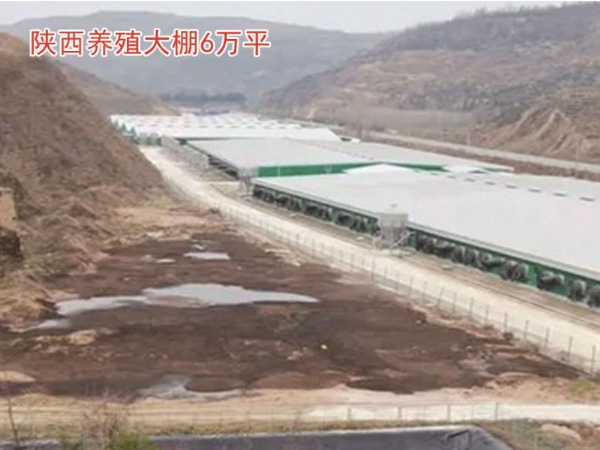 陕西养殖大棚6万平