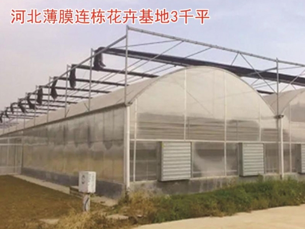 河北薄膜连栋花卉基地3千平